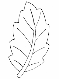Disegni di frutta e foglie autunnali da colorare auto. Foglie Disegni Per Bambini Da Colorare