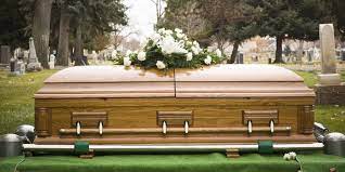 The following funeral homes, directors, cemeteries, and cremation services are located in orlando, florida. Newcomer Cremations Funerals Receptions Orlando Florist St Cloud Fl Florist Lake Nona Fl Florist Blush Flowershop