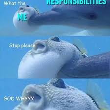 Responsibilities Hit Me Like Follow 9gag 9gag Pufferfish Dolphin Relatable Blowfish Tagfo Funny Pictures With Captions Funny Pictures Funny Memes