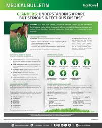 Image result for Glanders