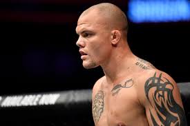 UFC Fight Night 134 Bonuses: Anthony Smith Collects $50K for Demolition  of 'Shogun'