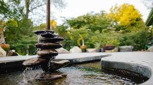Maybe you would like to learn more about one of these? The Basics Of Caring For Your Water Features