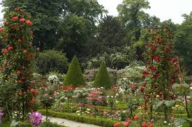 Jardin De Bagatelle Jardins Jardin D Acclimatation