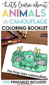 Customize the letters by coloring with markers or pencils. Animals In Camouflage Printable Booklet A Kinderteacher Life