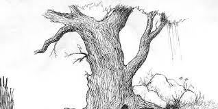 Pin On Drawings