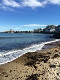 Our Favorite Cape Ann Beach Review Of Front Beach