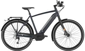 Als u van uit nederland de speedbike koopt dan wordt de fiets geleverd met een kenteken bijwijs. Gazelle Cityzen Speed 2020 Review Test Speedpedelec Org
