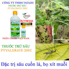 Pyvalerate 20EC