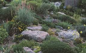 (using a raised garden bed to create a rock garden is also possible for a yard with virtually no soil.) stay cognizant of the sunniness of your backyard, as this coarse, rocky layer is spread to prevent your plants' roots from getting soggy (this same logic also applies for putting together a terrarium ). Rock Garden Primer Finegardening Landscaping With Rocks Rock Garden Landscaping Rock Garden