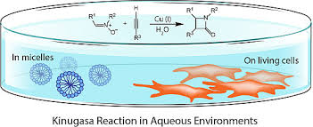 We did not find results for: Molecules Free Full Text Kinugasa Reactions In Water From Green Chemistry To Bioorthogonal Labelling