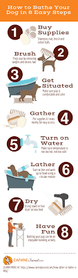 If your dog has normal skin, you may bathe him once a month. How Often Should You Bathe Your Dog Plus 8 Bathing Tips Caninejournal Com