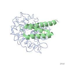 Image result for Fibrinogen