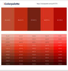 Find a great color palette from color hunt's curated collections. Wrebjsvfr2xxlm