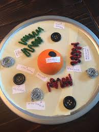 Check spelling or type a new query. Animal Cell Project Animal Cell Project Cells Project Cell Model Project