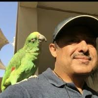 100+ "Hageb" profiles