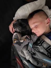 Slightly SW related? Anyway this is my new pup Bantha!