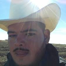 pedro zarate🇲🇽 (@pedrozarateL)