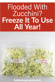 These shredded zucchini recipes are an easy and delicious way to eat your vegetables. How To Freeze Zucchini With Or Without Blanching Homestead Acres