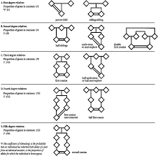 Examples Of Consanguineous Unions And Their Coefficients Of