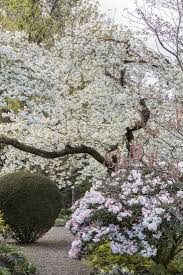 Check spelling or type a new query. Crazy Quilt Garden A Revolutionary Way To Create A Tapestry Of Color Gardenista