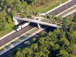 The Cross Florida Trail Land Bridge Goes Right Over I 75 Near Ocala And Thousands Of Florida Visitors Do Not Notice The Bri Florida Trail Road Trip Usa Florida