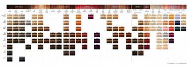 Schwarzkopf Igora Color Chart Expert Hair And Beauty Online