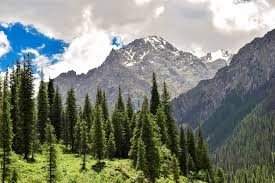 Libanon malaysia malediven mongolei myanmar nepal oman osttimor pakistan philippinen republik korea russland. Kasachstan Astana Tauche Ab In Das Herz Von Kasachstan
