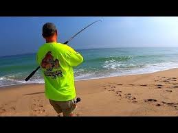 Use them in commercial designs under lifetime, perpetual. Fish Fish And More Fish Surf Fishing Florida East Coast Youtube