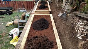 Asparagus has been considered a garden delicacy since roman times. Sqwibs Raised Beds And Hugelkultur Beds Tomatoville Gardening Forums