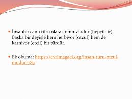 Tamamen otlarla veya ot türleriyle beslenen hayvan, herbivor. Beslenmenin Tarihi Ppt Indir