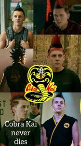 This is hawk, my husband if you havnt seen cobra kai then. Cobra Kai Bad Boy Boy Club Cobra Kai Cute Good Boy Haek Miyaghi Do Hd Mobile Wallpaper Peakpx
