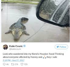 Image result for Houston Nasa Harvey Images