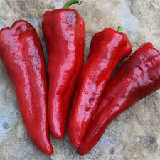 We did not find results for: Heirloom Organic Sweet Pepper Seeds