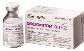 Dexdomitor 0 1 Dog Sedative Cat Sedative Analgesic