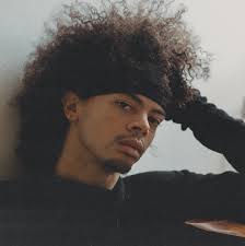 Kris Kollins, Rachel Webb to star in premiere of Prince's 'Purple Rain'