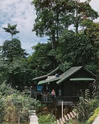 Beliau berkata dalam sidang media di ibu pejabat kontinjen polis negeri sembilan: 12 Hidden Forest Retreats Near Klang Valley You Can Visit For The Perfect Weekend Getaway Kl Foodie