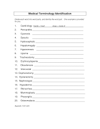 Awesome Medical Terminology Worksheets Medical Terminology