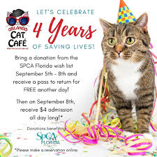 Adopt a pet today from the pet alliance of greater orlando! Orlando Cat Cafe Celebrates Four Years And Honored With Official Day Clermont Report