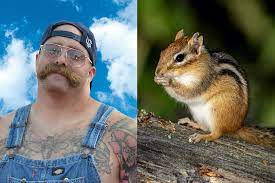 When it comes to chipmunk infestation, this can lead to a huge problem as these little creatures can do such things as Every Time I Die Rocker Andy Williams Rescues Drowning Chipmunk