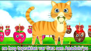 sen ne guzel bulursun gez sen anadoluyu konusan kediler tom cocuk sarkilari ve tekerlemeleri youtube kedi sarkilar animasyon