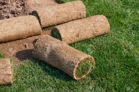 Hazır rulo çim (doğal mera çim): Akbayrakpeyzaj Com Wp Content Uploads 2018 11 2