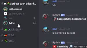 Trolling In Turkish Discord Server Youtube