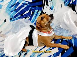 Profil pentru Rosaura Duran