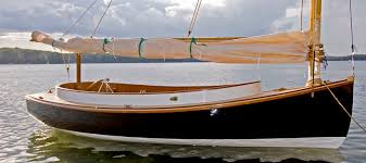 Résultat de recherche d'images pour "cat boat"