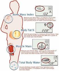 Body Composition Nutrition Metabolism Gi Research In
