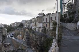 Image result for Sutera debilis