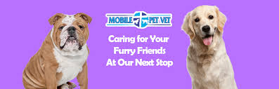 Like people, pets need vaccines. Mobile Pet Veterinary Services Of El Paso Texas