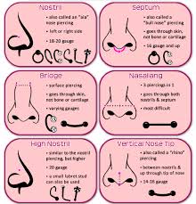 getting your nose pierced check out this helpful chart that