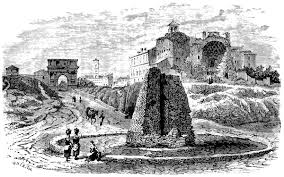 Image result for Iphigenia oliveri