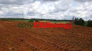 Tanaman padi membutuhkan tanah yang gembur, oleh karena itu aliri air dan agar tanah menjadi gembur dan lunak. Ciri Ciri Lokasi Yang Sesuai Diusahakan Untuk Penanaman Cili Blog Cilibangi
